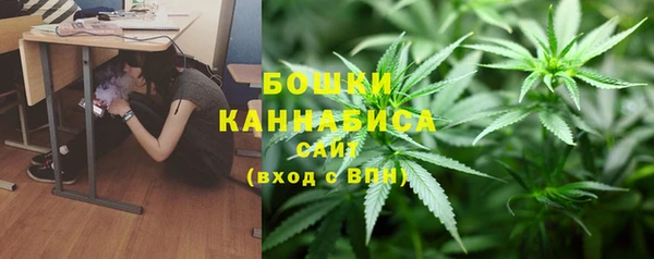 дурь Дмитровск
