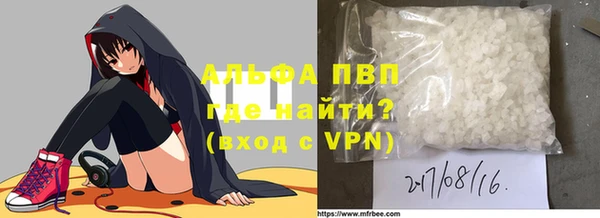 стафф Ельня