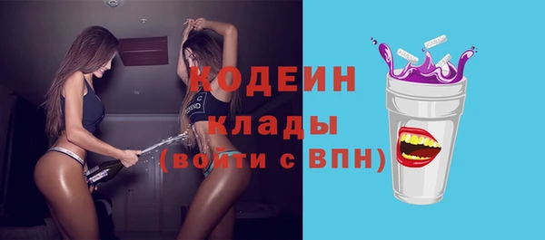 стафф Ельня