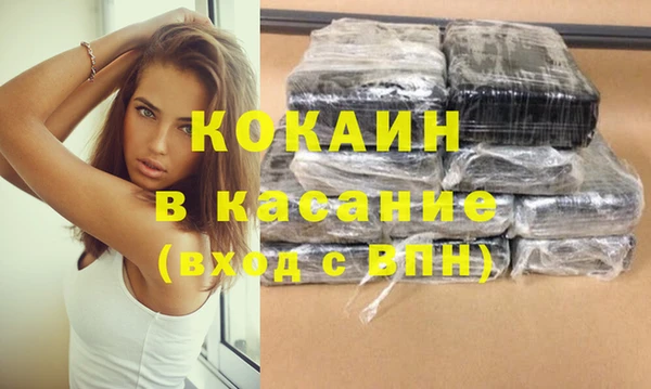 стафф Ельня