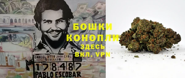 дурь Дмитровск