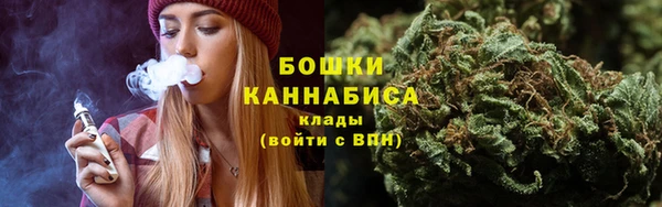 стафф Ельня